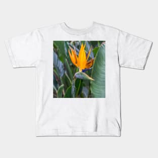 Bird of Paradise flower Kids T-Shirt